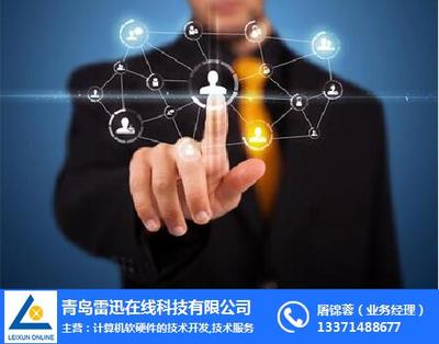 天助易站通雷迅 計(jì)算機(jī)軟硬件技術(shù)開(kāi)發(fā)的在線咨詢(xún)平臺(tái)